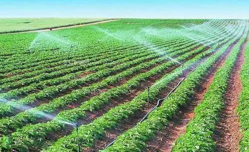 中国长鸡巴操B农田高 效节水灌溉